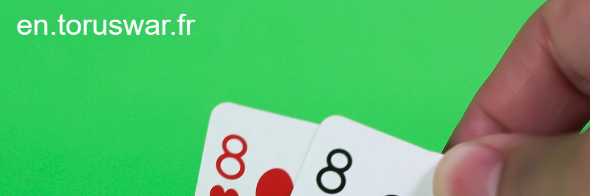en.toruswar.fr